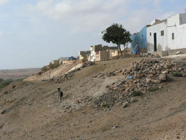 25- Ville de Rabil 